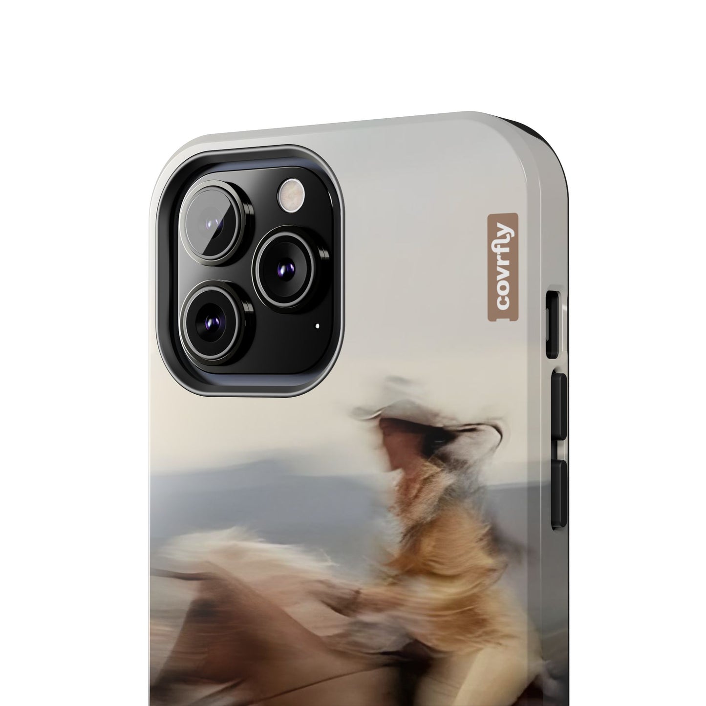 Cowboy Blur